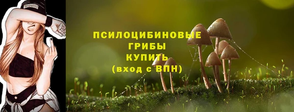 альфа пвп Заводоуковск