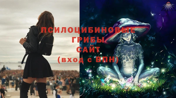 спайс Зеленодольск