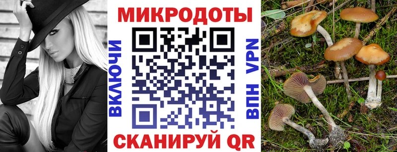 Галлюциногенные грибы мицелий  Купить закладки  Михайловка 